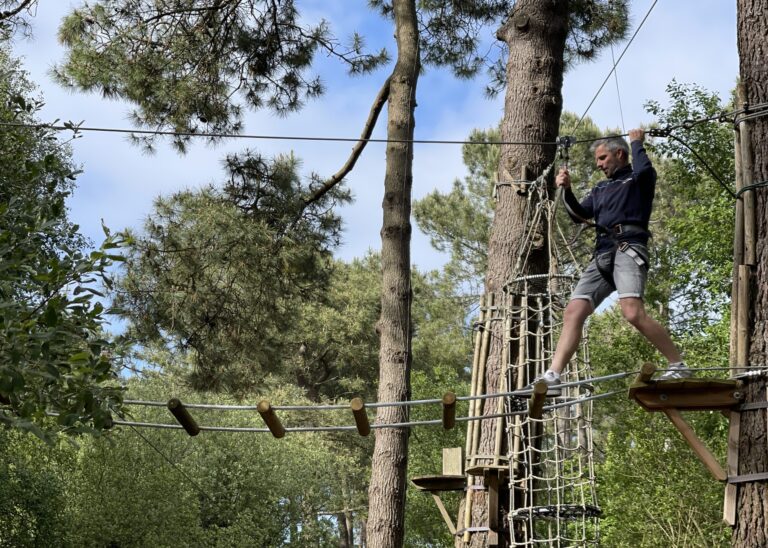 entreprise et grande forêt